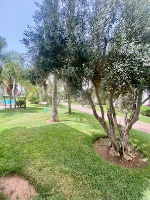 A well-maintained grassy area with several trees and a clear sky. - Your Fancy Escape by the Sea (Agadir)