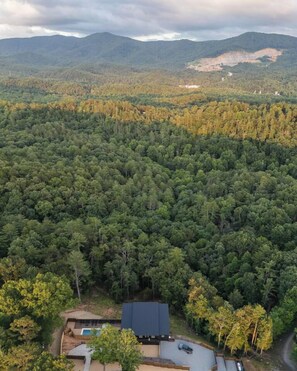 A forested area with a house and a swimming pool.