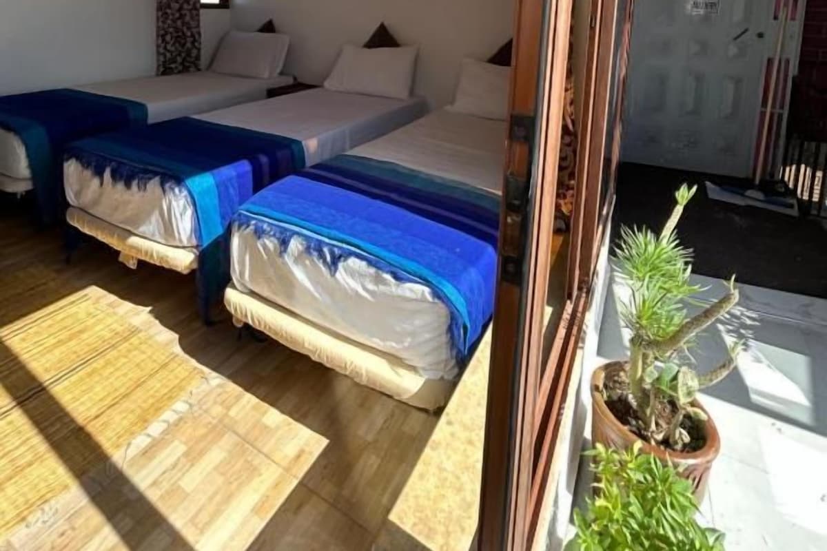 Een kamer met twee bedden, een houten plafond en een kamerplant.