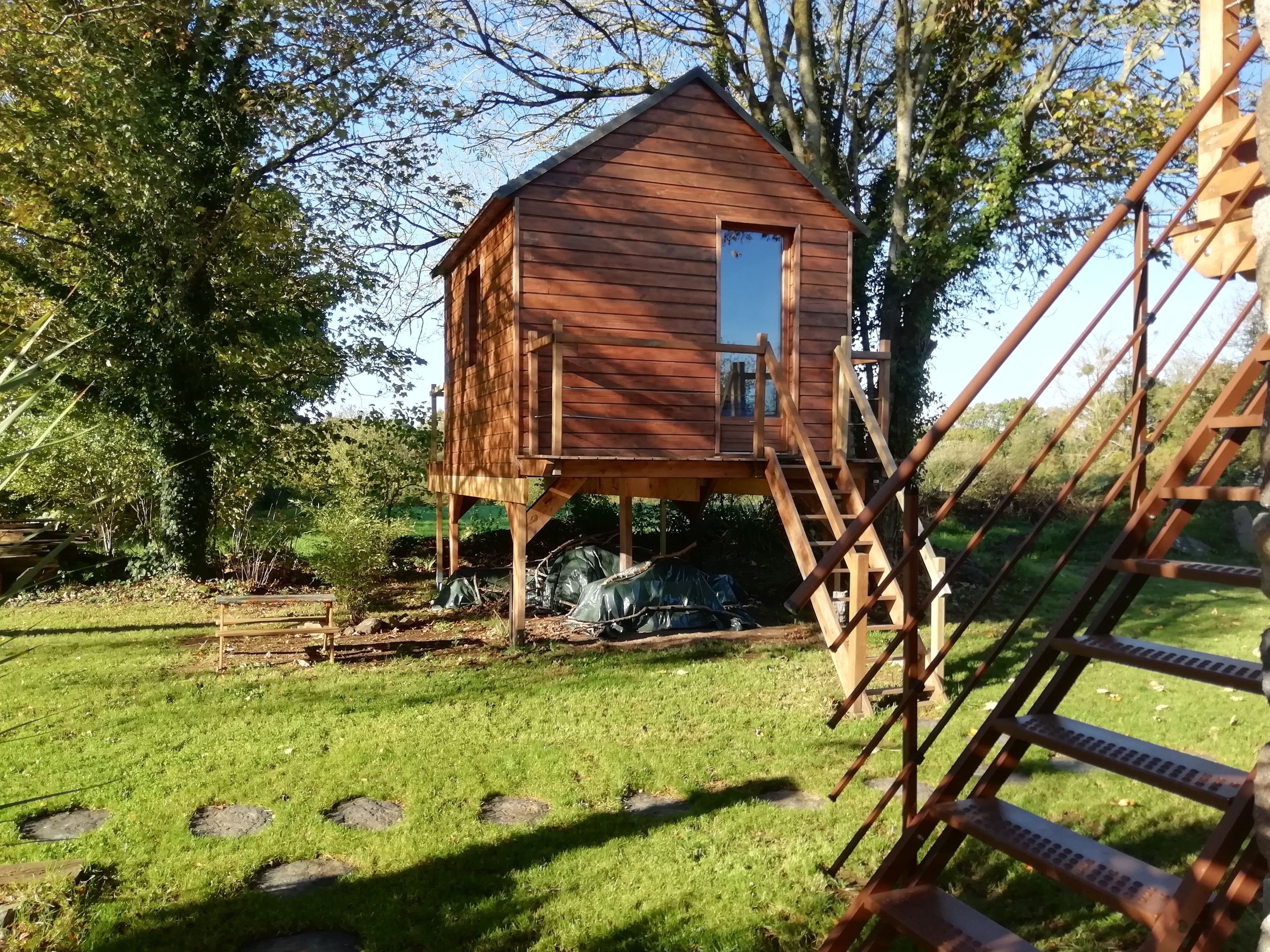 A wooden treehouse with a single window, surrounded by trees and grass.