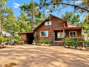 A rustic cabin with a front porch, surrounded by trees and a dirt driveway. - Cabaña del Bosque - Laguna Verde (Valparaiso)