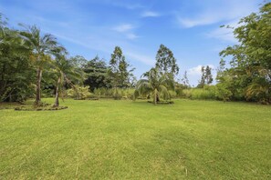 A grassy field with scattered trees and a clear sky. - Nani Mala Cove at Island Rainforest Grove (Keaau)