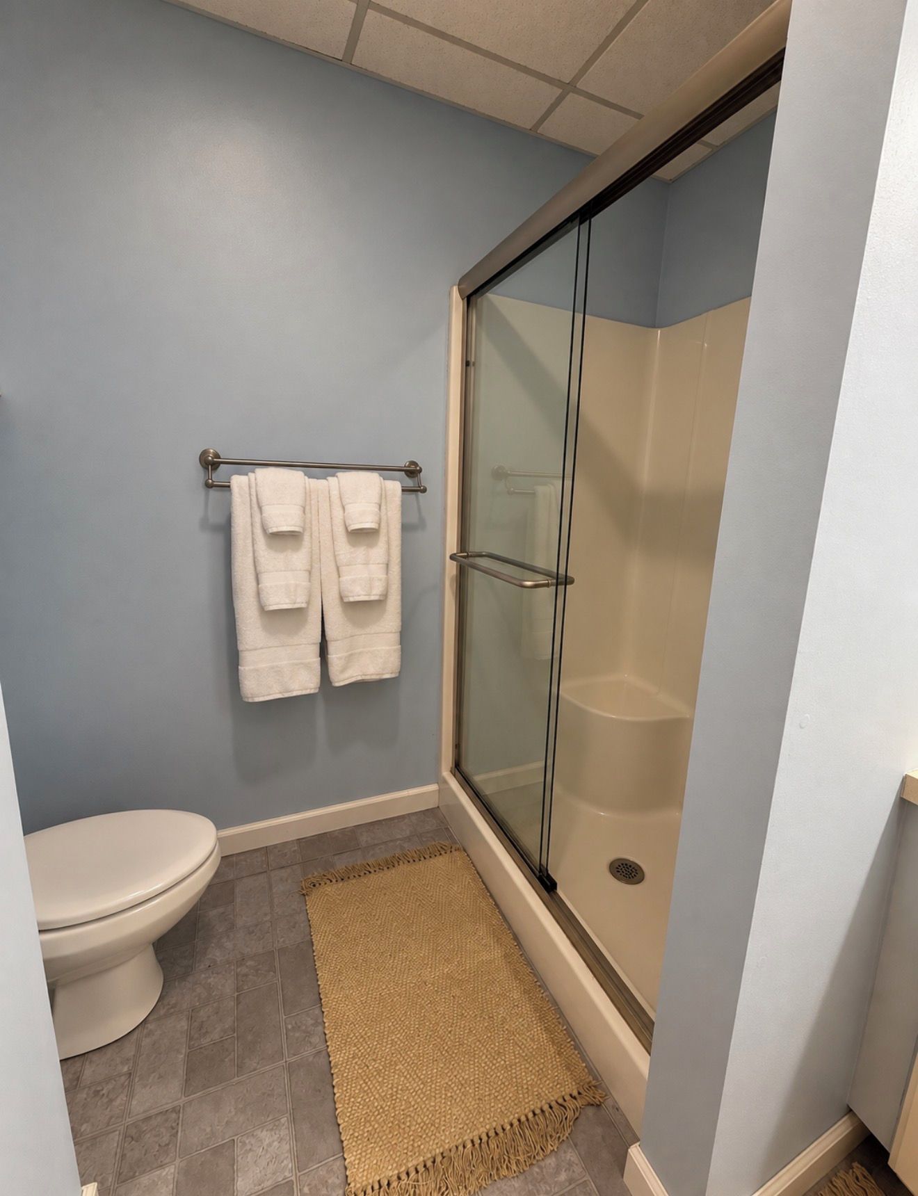 Ein Badezimmer mit Toilette, einer Duschkabine aus Glas und einem Handtuchhalter mit zwei Handtüchern.