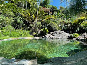 A clear pool surrounded by rocks and lush greenery.