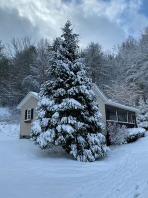 A snow-covered house with a large evergreen tree in front.