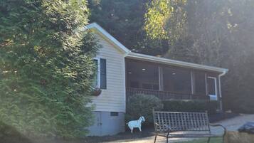 A house with a porch, a lawn, and a bench.