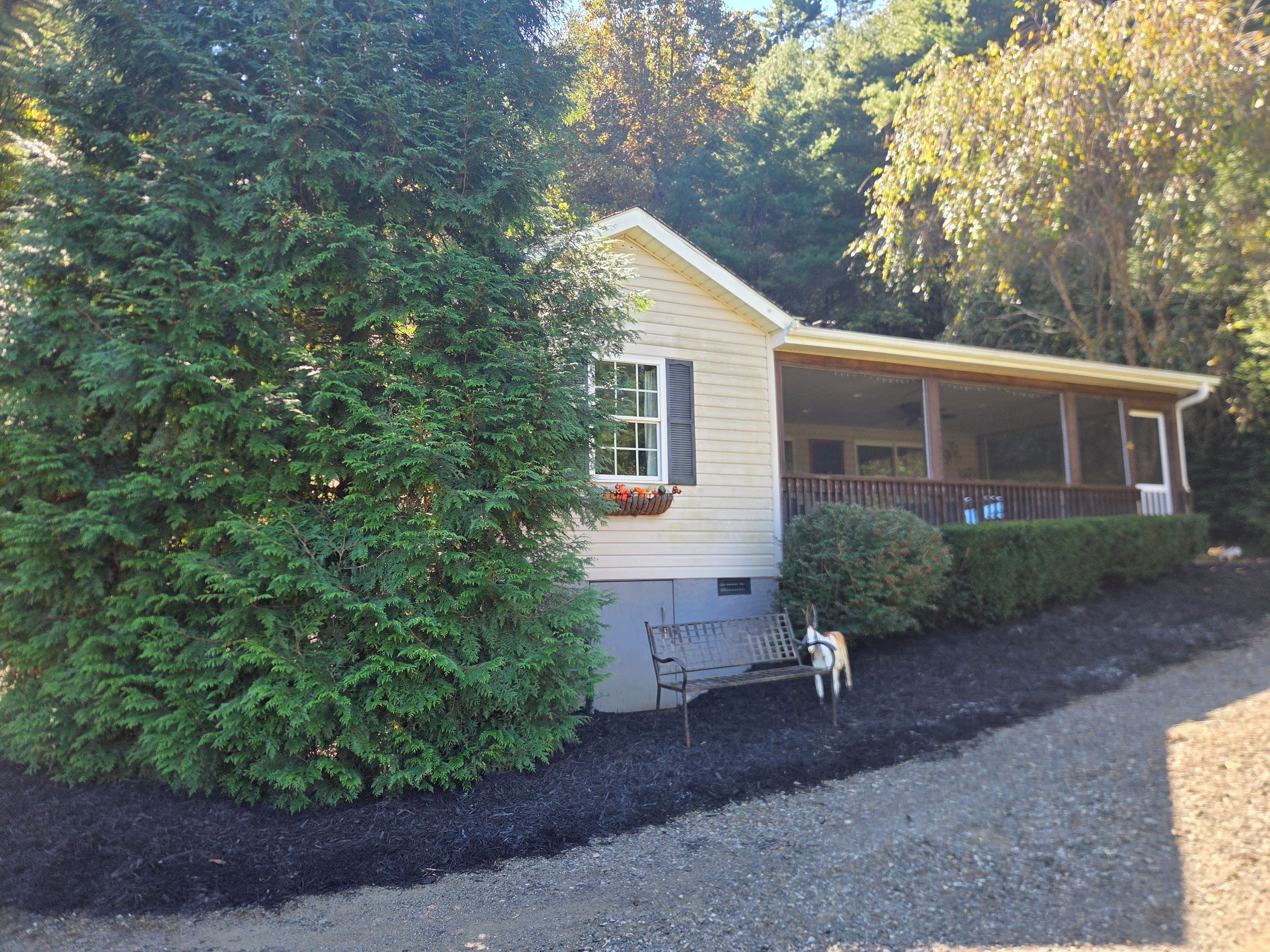 A house with a porch, a bench, and a large tree in front.