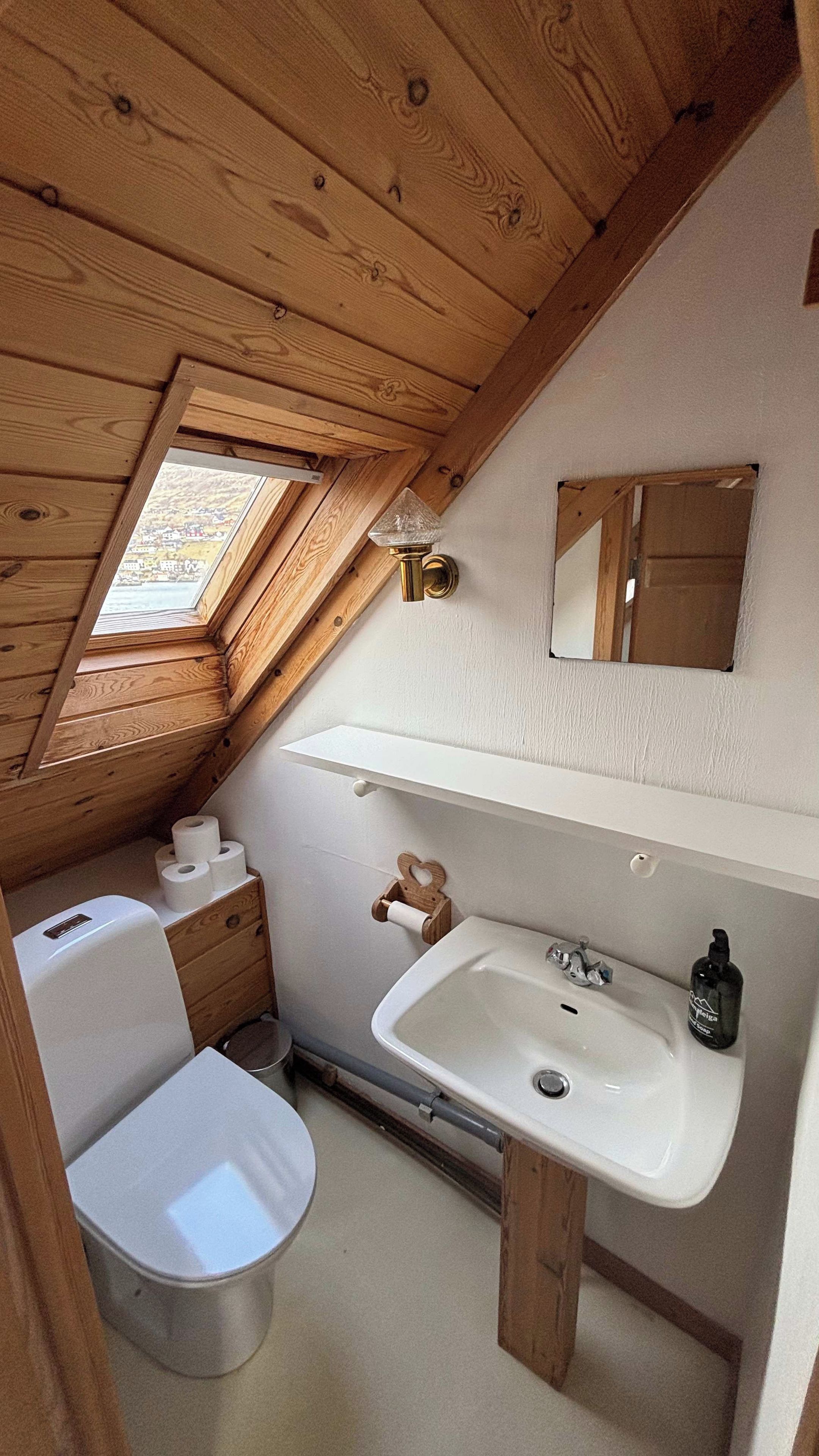 A compact bathroom with a wooden ceiling, a skylight, a white sink, a toilet, and a small mirror.