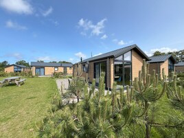 Un quartier résidentiel moderne avec des maisons en bois, une table de pique-nique et des pins.