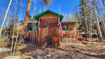 A rustic cabin with a green roof, a wooden door, and an American flag.