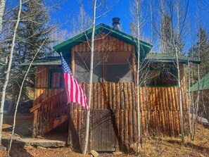 Une cabane rustique en bois, avec un toit vert, un escalier en bois menant à une porte et un drapeau américain sur le côté gauche.