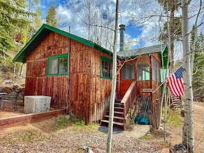 A rustic cabin with a green roof, a wooden staircase, and an American flag. - 1 BR with sunroom-walk to beach (Grand Lake)