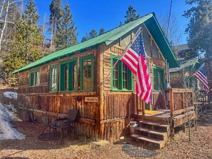 Eine rustikale Holzhütte mit einem grünen Dach, einer Veranda mit Treppe und einer amerikanischen Flagge.