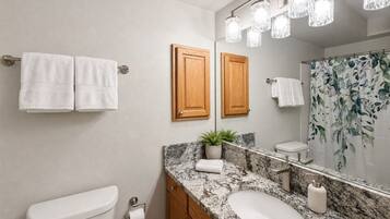 A bathroom with a toilet, a sink with a marble countertop, wooden cabinets, a mirror, and a shower curtain with a floral pattern.