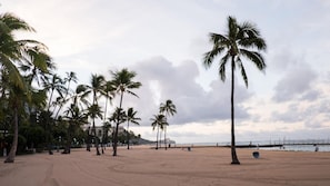 Ein Strand mit Palmen und eine entfernte Brücke im Hintergrund.