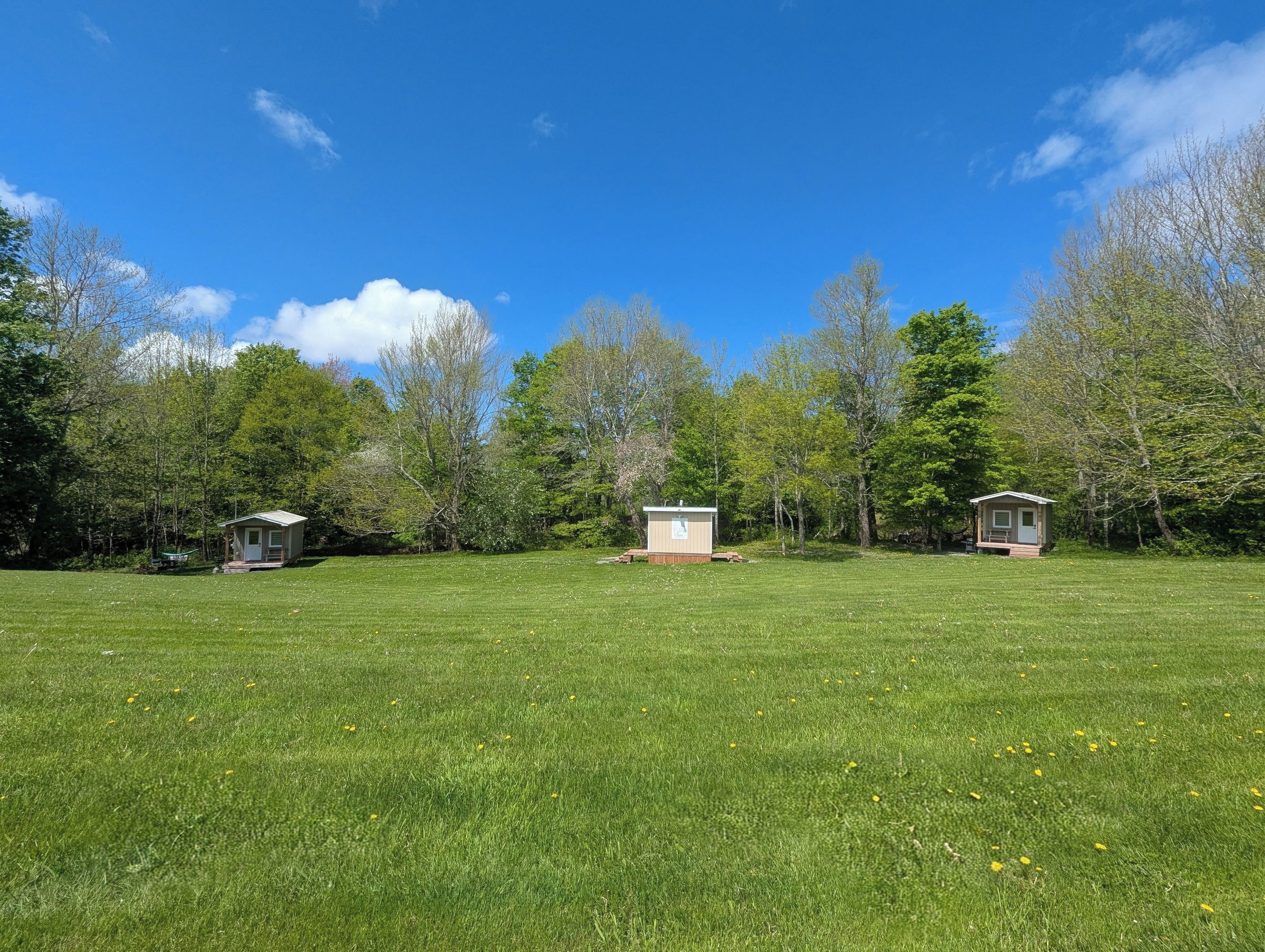 A grassy field with three small wooden structures, likely cabins, surrounded by trees.