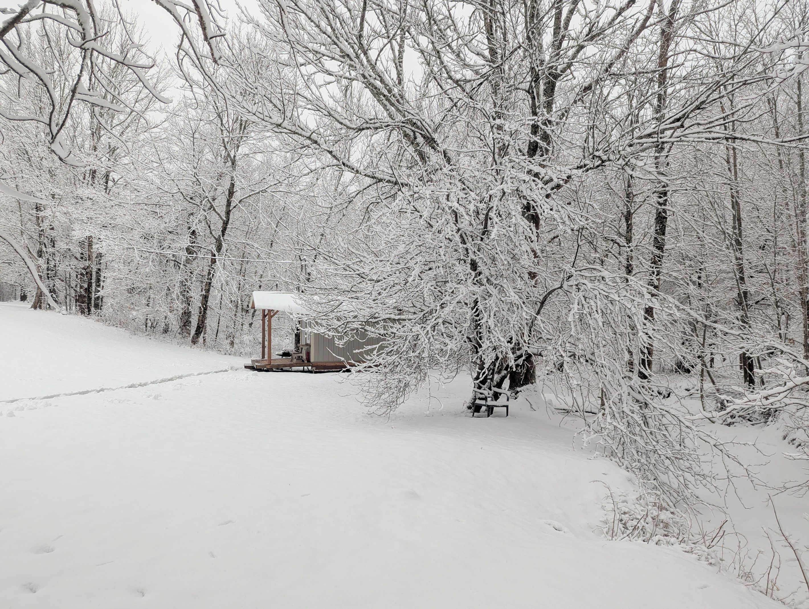 A snow-covered forest with a wooden structure and a bench.