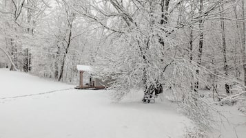 A snow-covered forest with a wooden structure and a bench.
