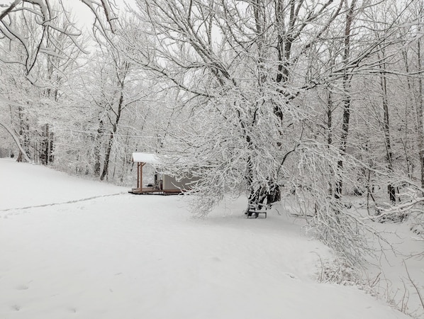 Bosque nevado con una estructura de madera y un banco.