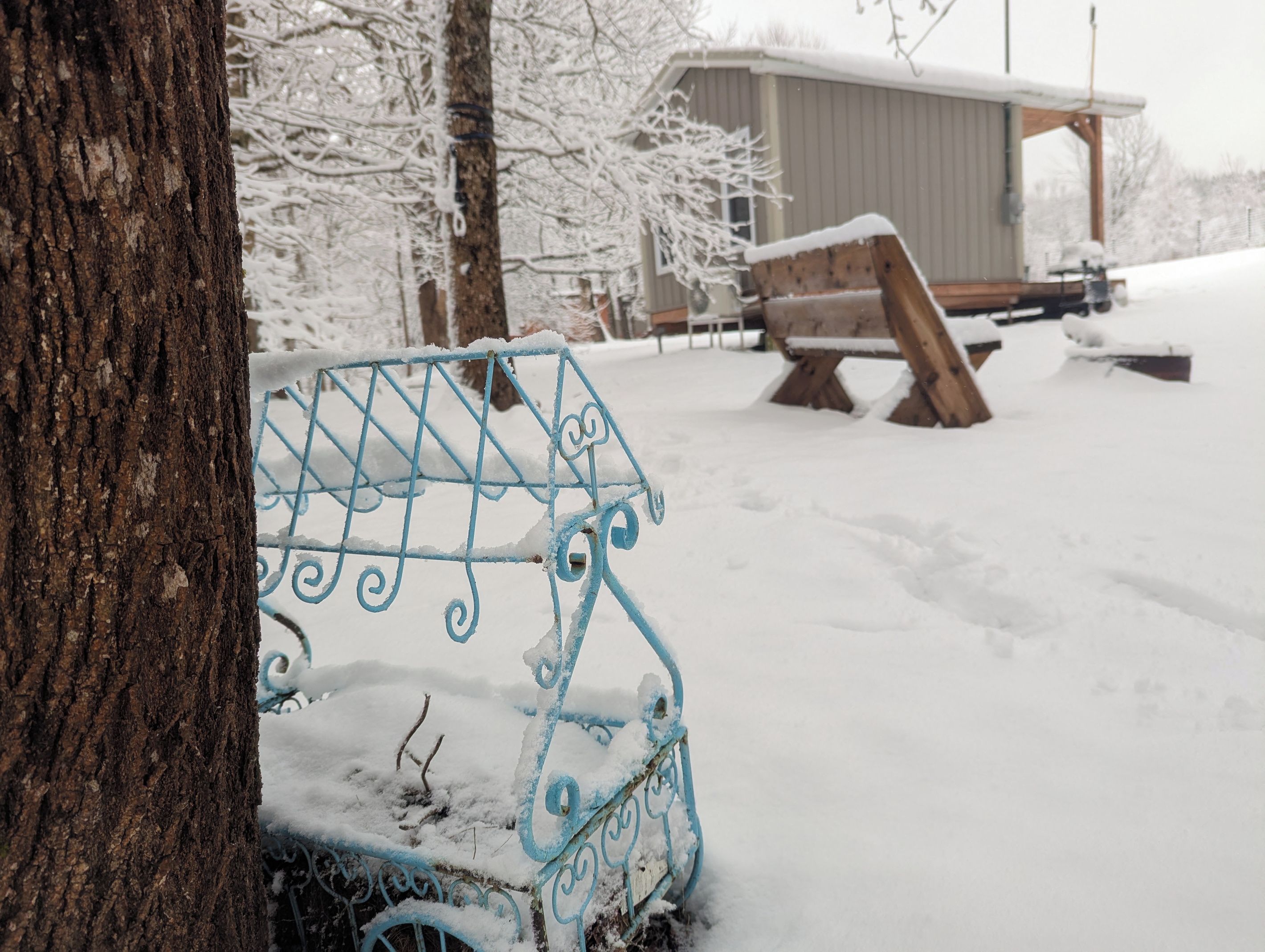 A metal bench with intricate designs, partially covered in snow, in a snowy outdoor setting with trees and a building in the background.