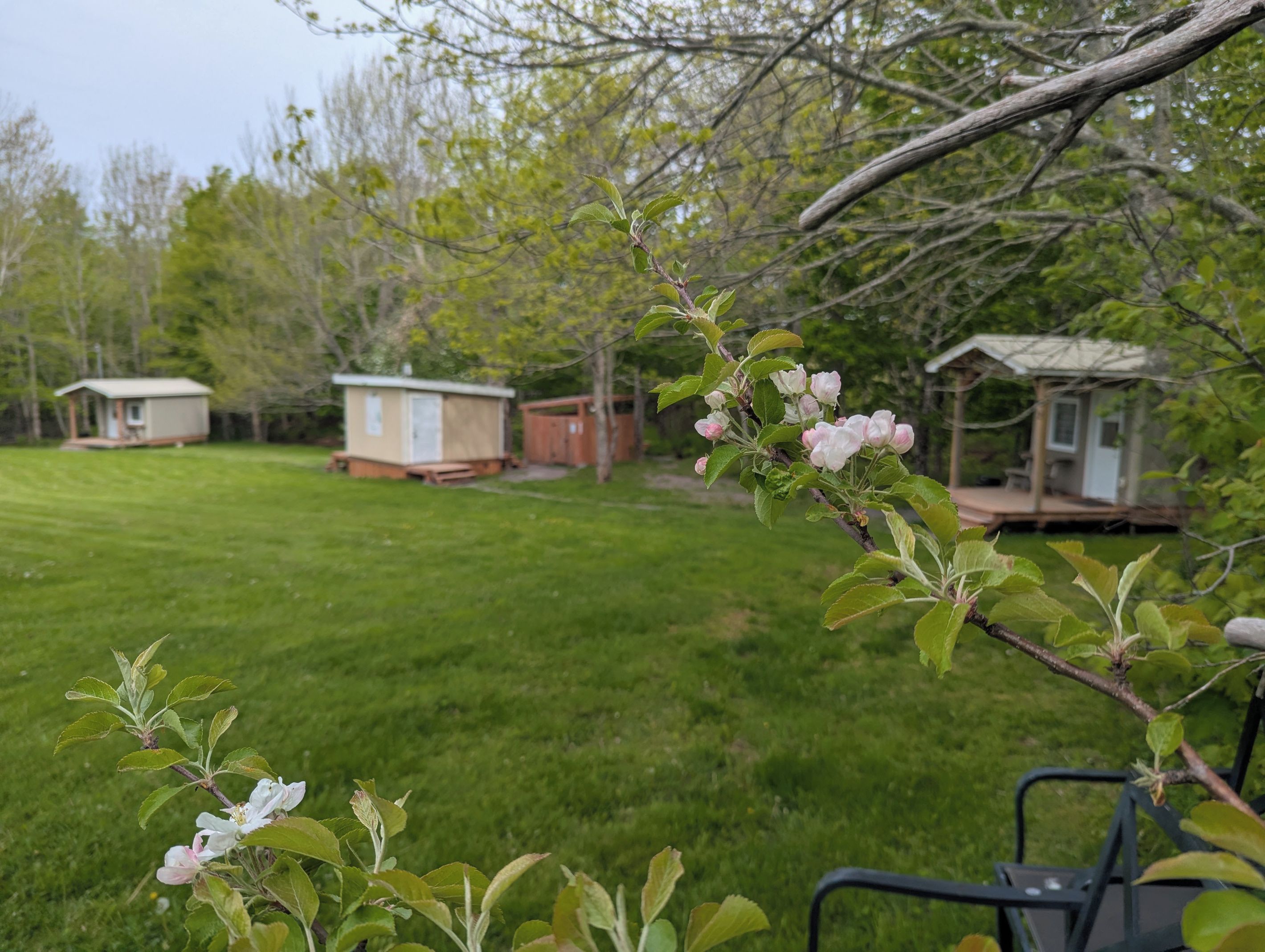Field and Fern Cottages spring