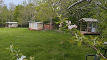 Field and Fern Cottages spring