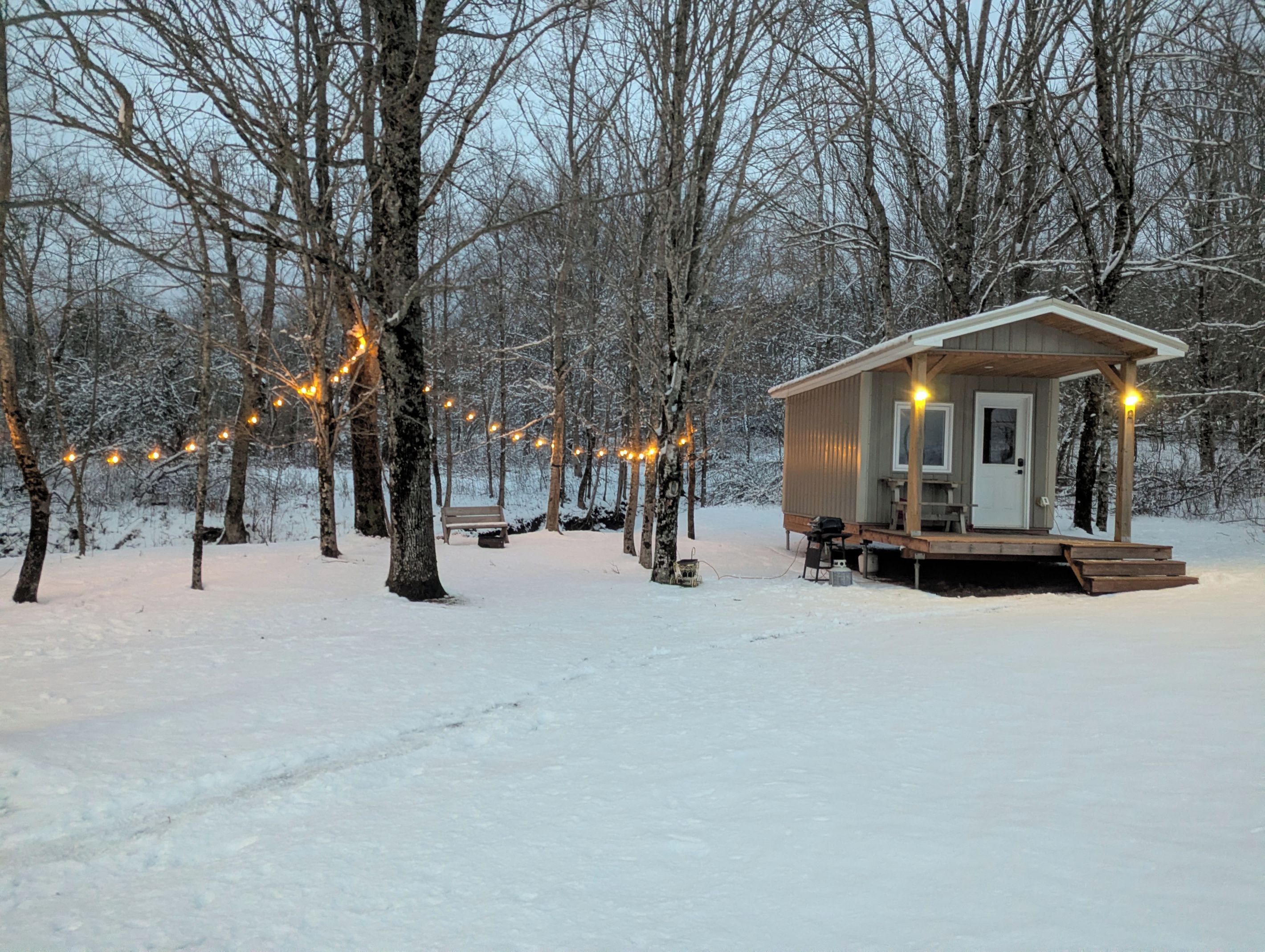 A cabin with a porch, surrounded by snow-covered trees.