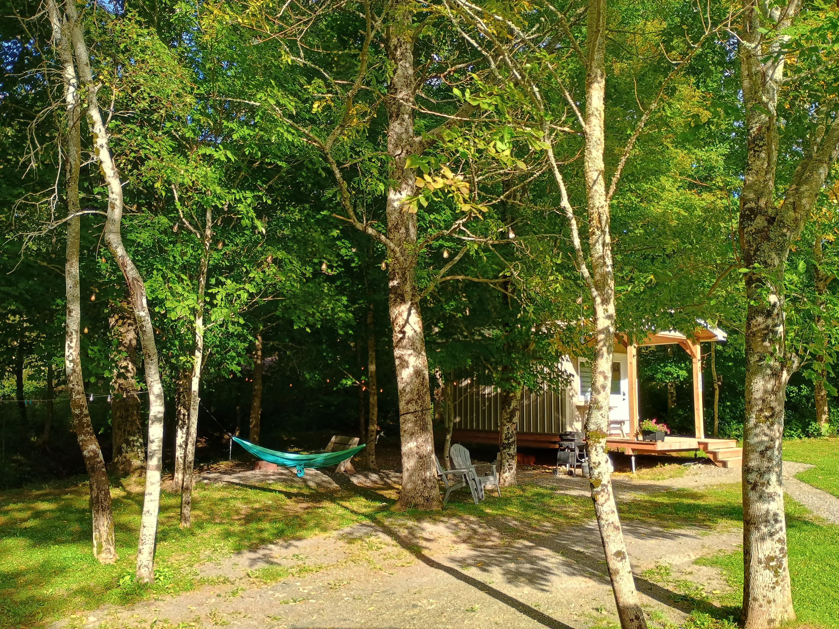 A hammock between trees, a wooden deck, and a picnic table in a wooded area.