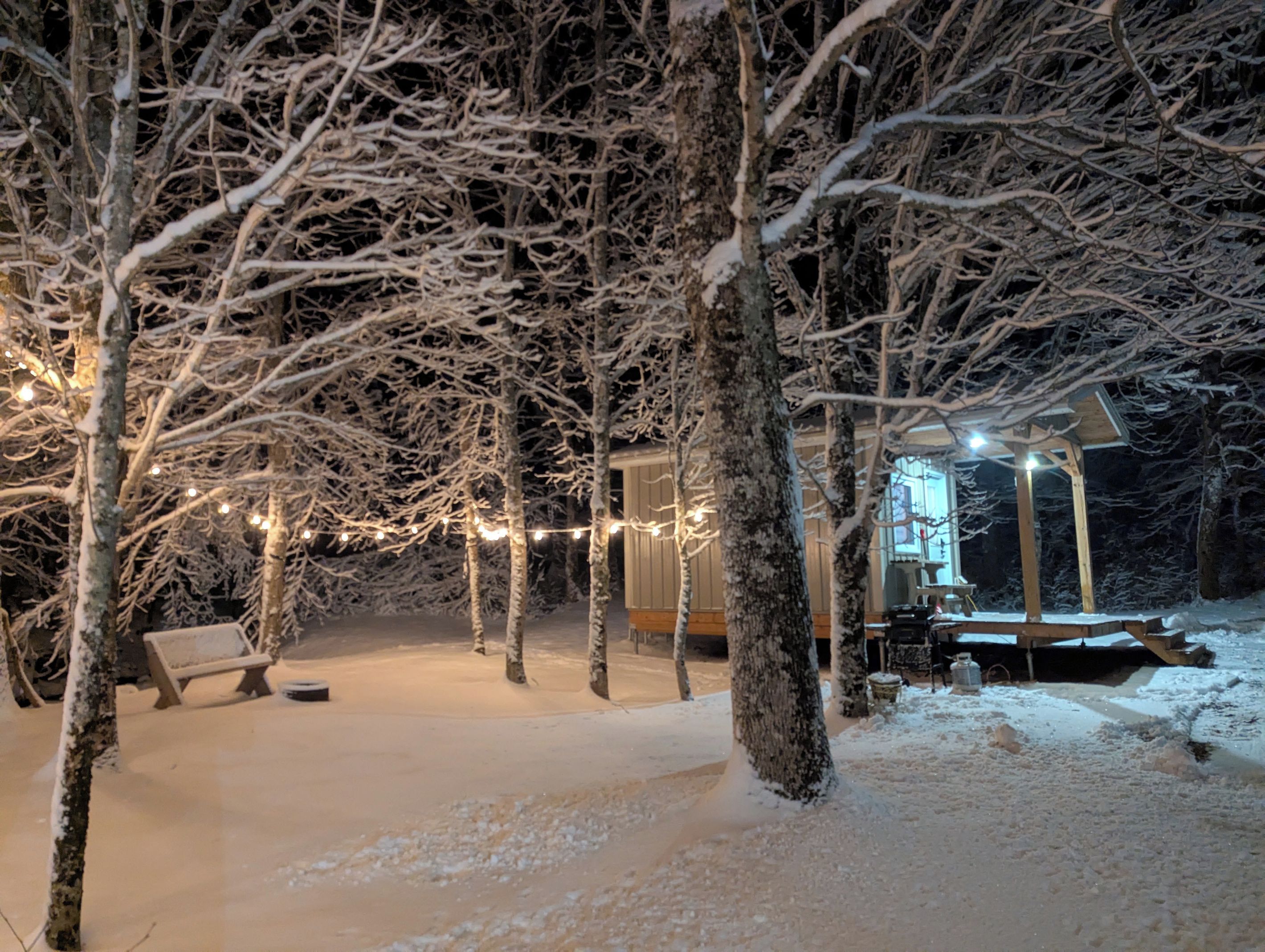 A snow-covered outdoor area with trees and a wooden structure, possibly a cabin or lodge.