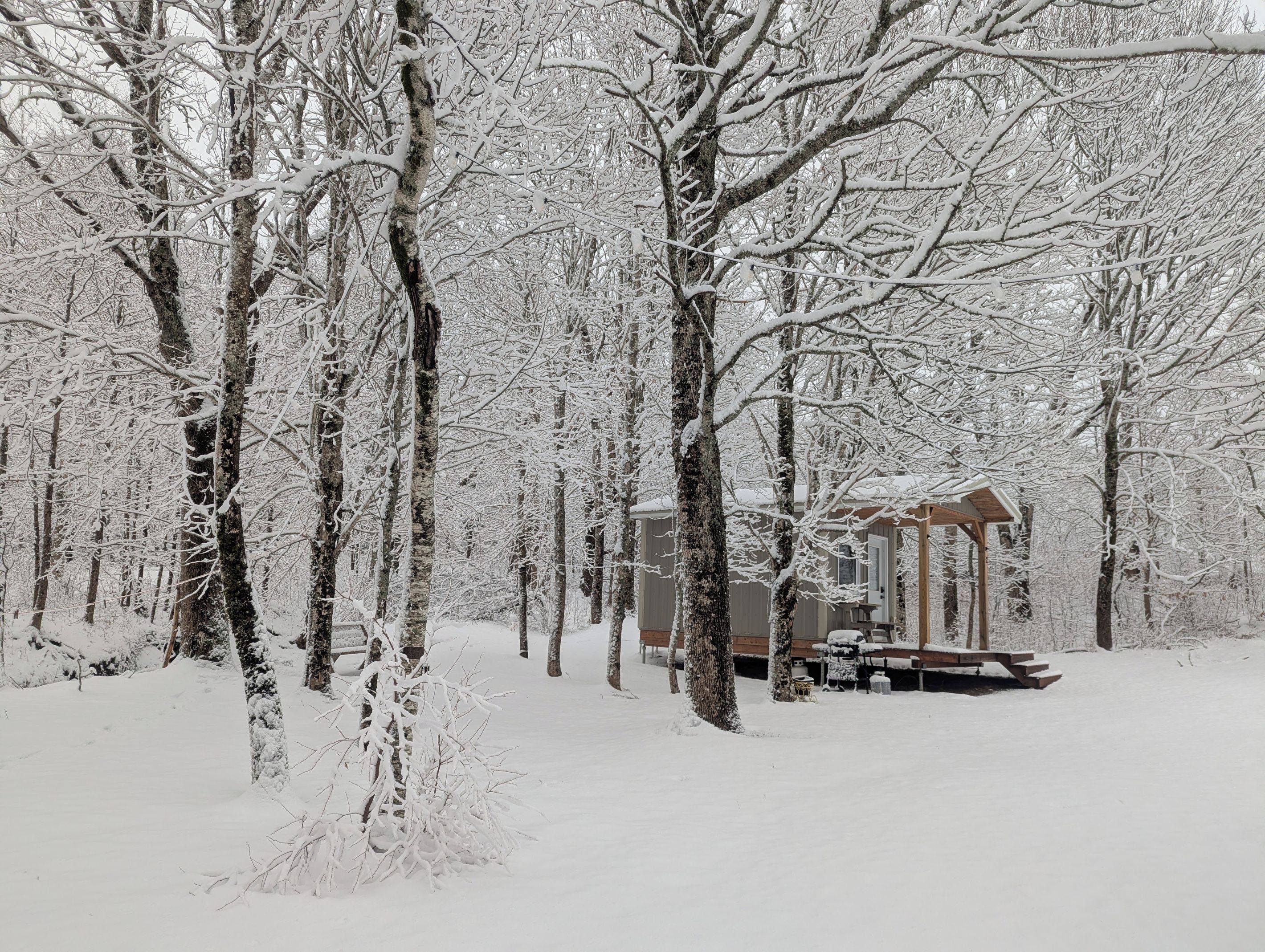 A snow-covered forest with a wooden structure that appears to be a cabin or lodge.