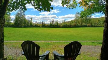 Two chairs under a tree with a view of a grassy field and a clear sky.