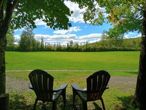 Two chairs under a tree with a view of a grassy field and a clear sky.