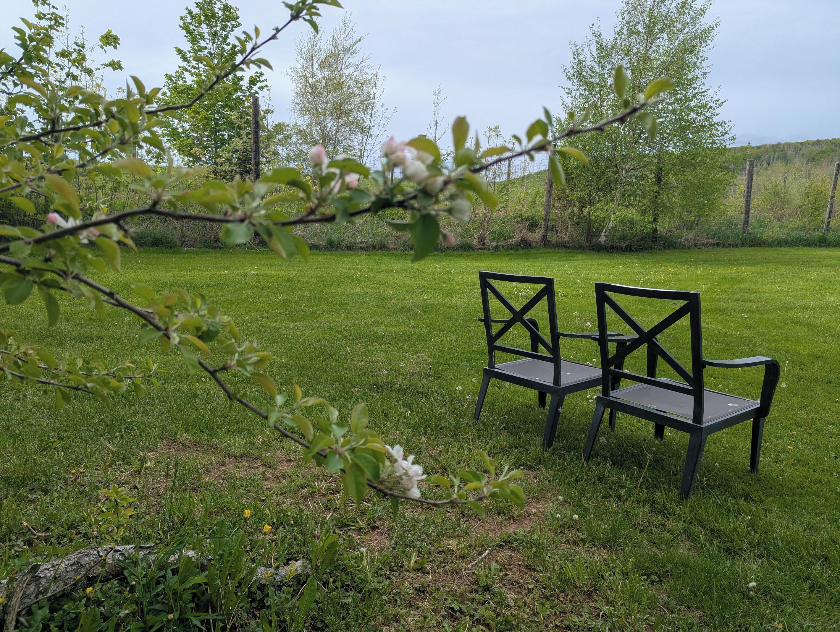 Ein Sitzbereich im Freien mit zwei Stühlen und einem Tisch, umgeben von Gras und Bäumen.