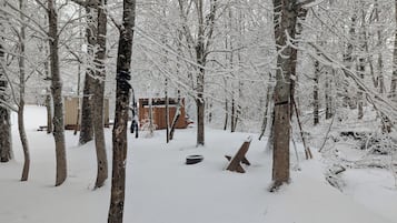 A snow-covered forest with a wooden cabin and a bench.
