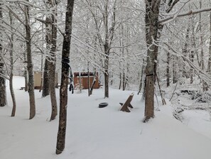 A snow-covered forest with a wooden cabin and a bench.