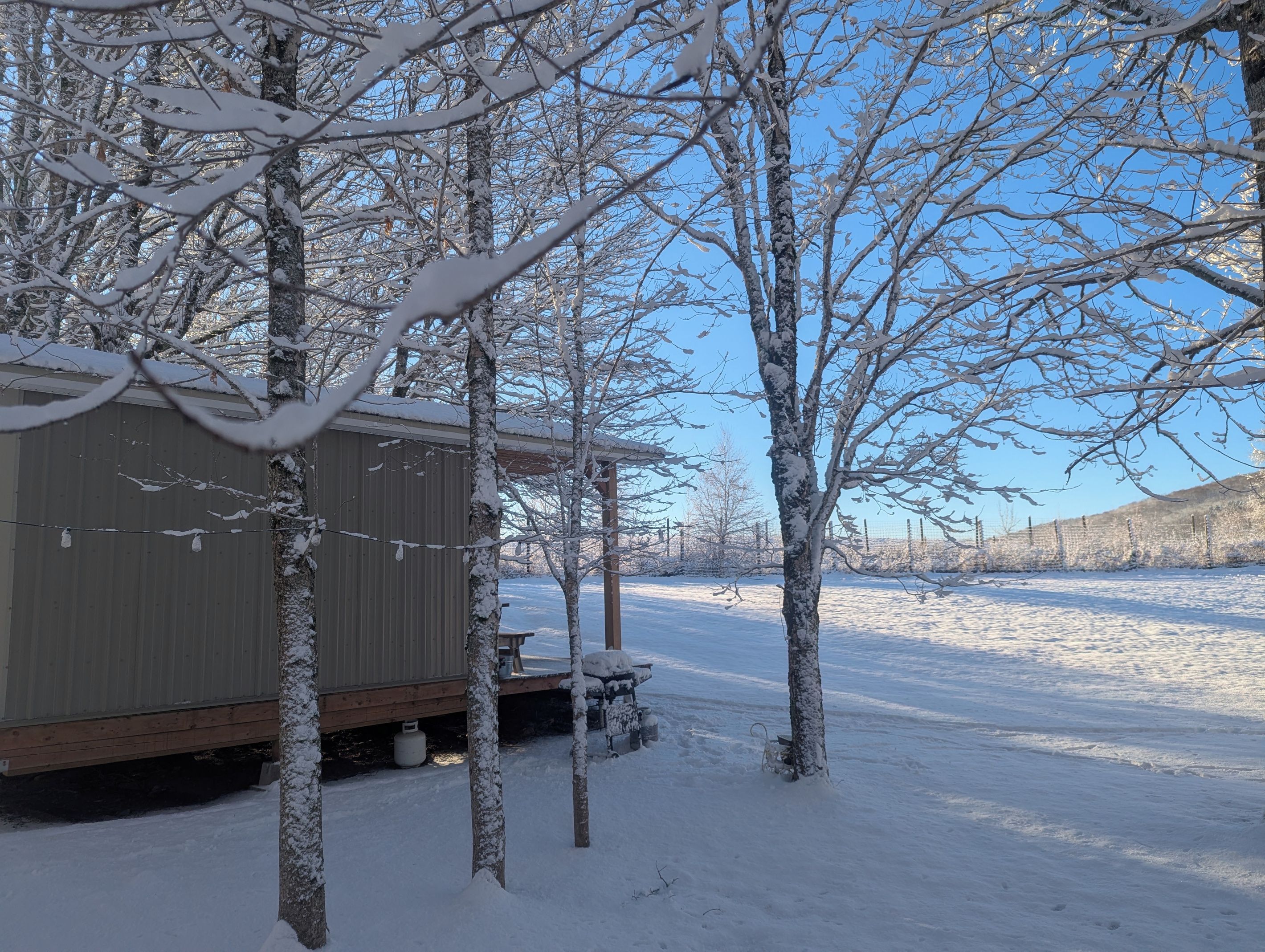 A snow-covered outdoor area with a wooden structure, possibly a shed or a small cabin, and a metal fence in the background.
