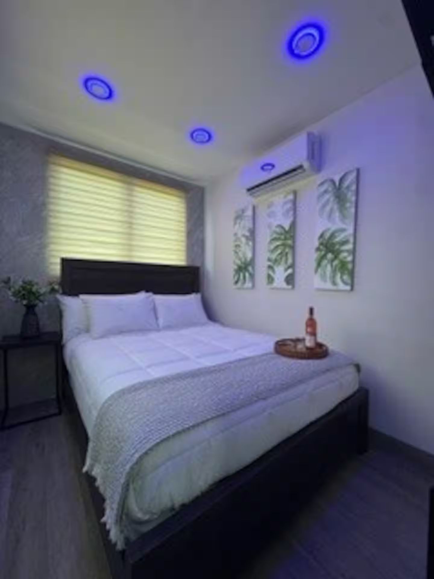 A bedroom with a bed, a nightstand, a potted plant, and wall art.