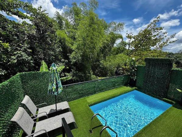 A swimming pool with a clear blue water surface, surrounded by a well-manicured lawn and a variety of trees and shrubs.
