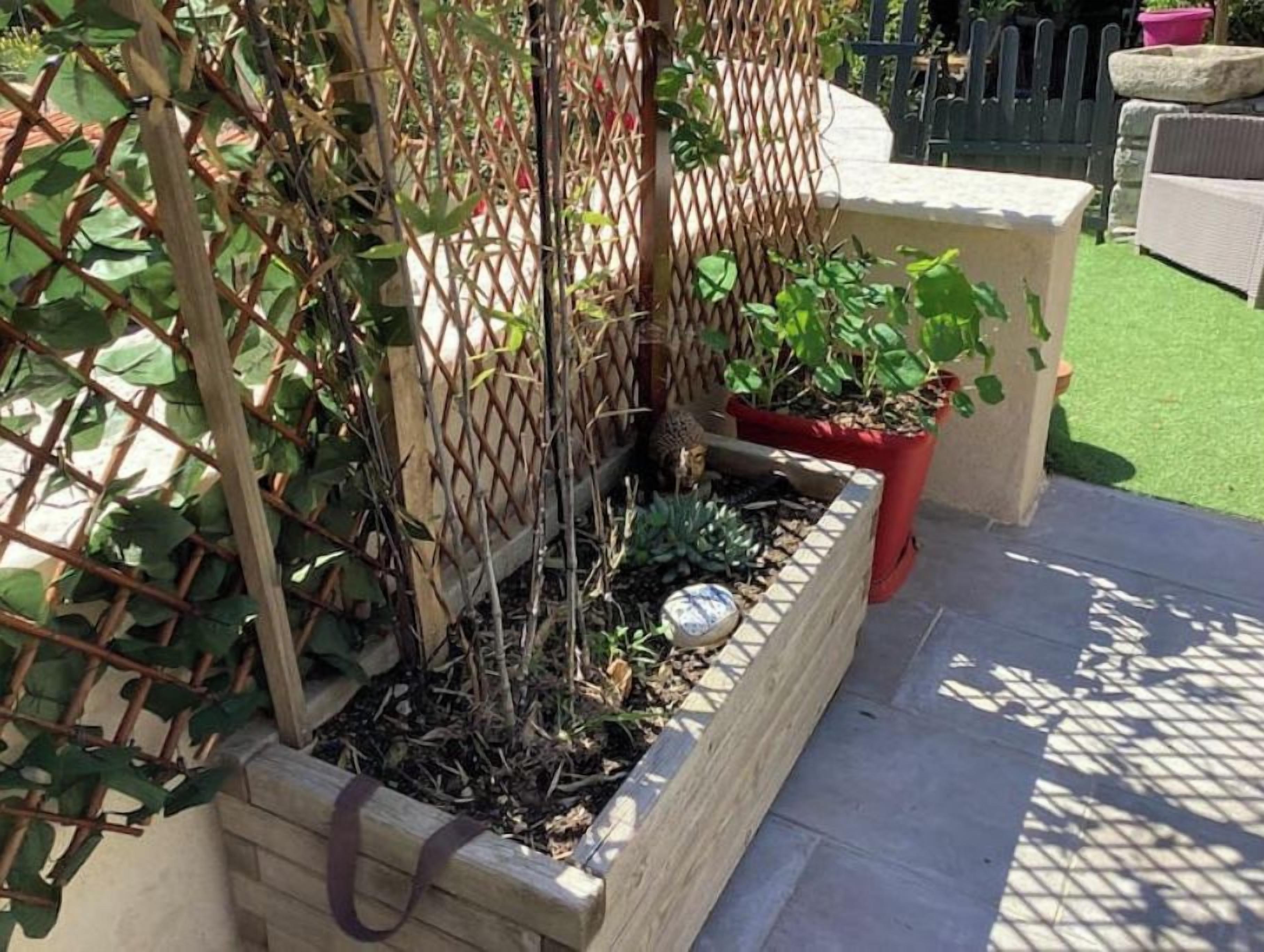 Enceinte de l’hébergement