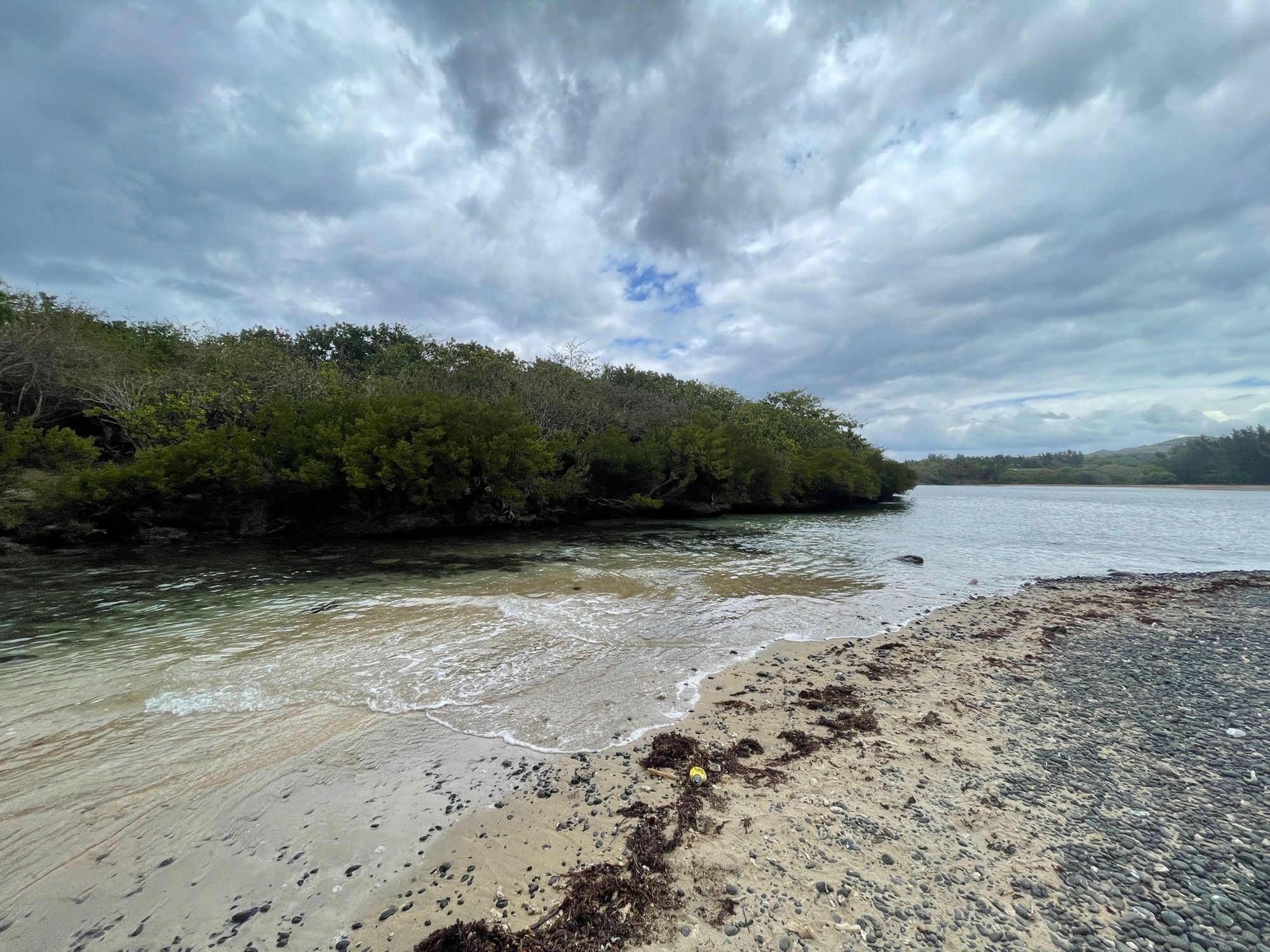 Una playa con agua cristalina, arena dorada y vegetación exuberante.