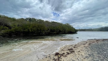 Una playa con agua cristalina, arena dorada y vegetación exuberante.