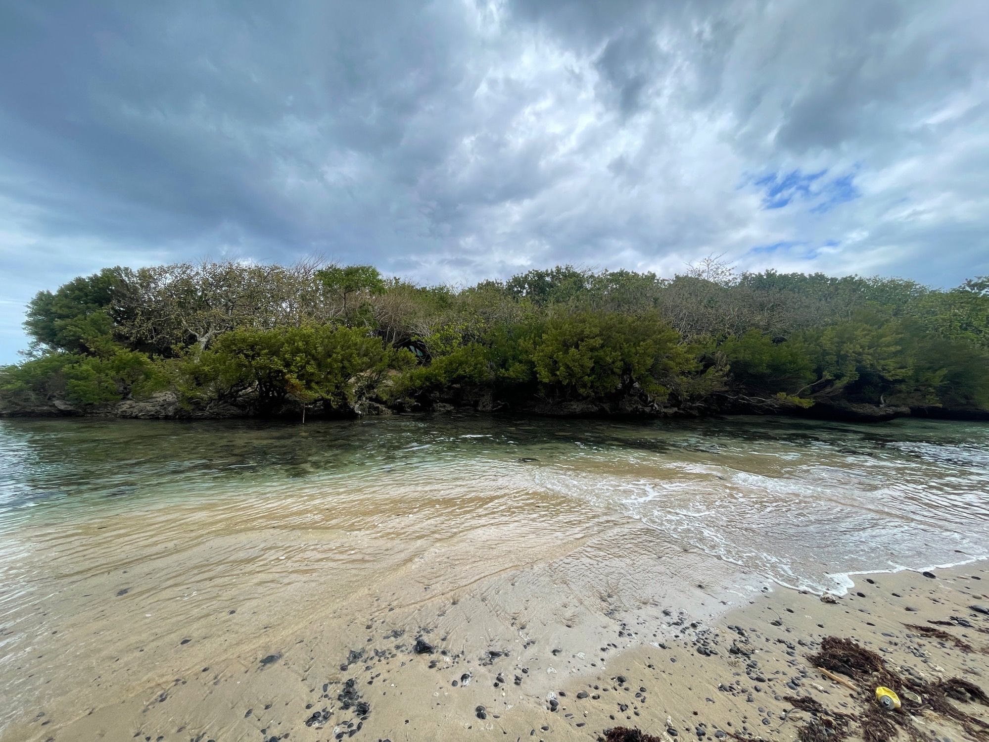 A beach with clear water, sandy shore, and dense greenery in the background.
