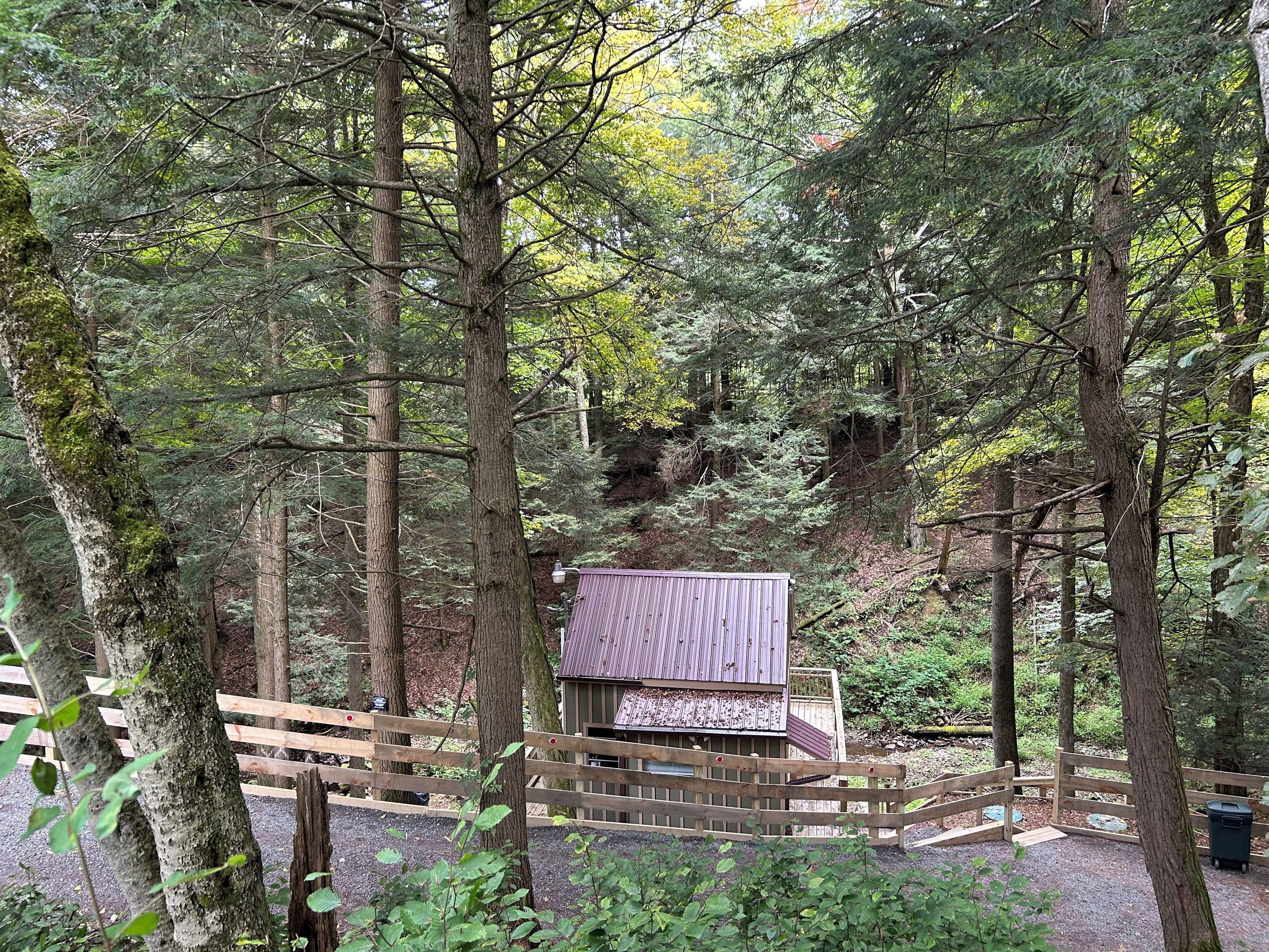 A wooden cabin surrounded by a forest, with a gravel path leading to it.