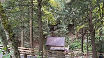 A wooden cabin surrounded by a forest, with a gravel path leading to it.