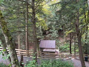A wooden cabin surrounded by a forest, with a gravel path leading to it.