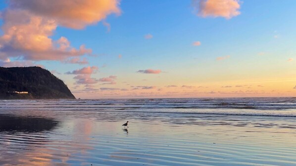 A beach with gentle waves, a clear sky, and a bird on the sand. - Beachfront WorldMark Seaside Stay with Pools, Space & Family Fun by the Ocean (Seaside)