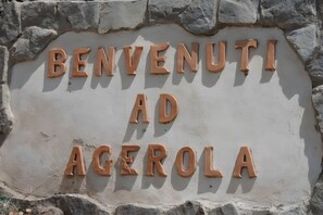 Immagine non classificata, 4 di 24, pulsante