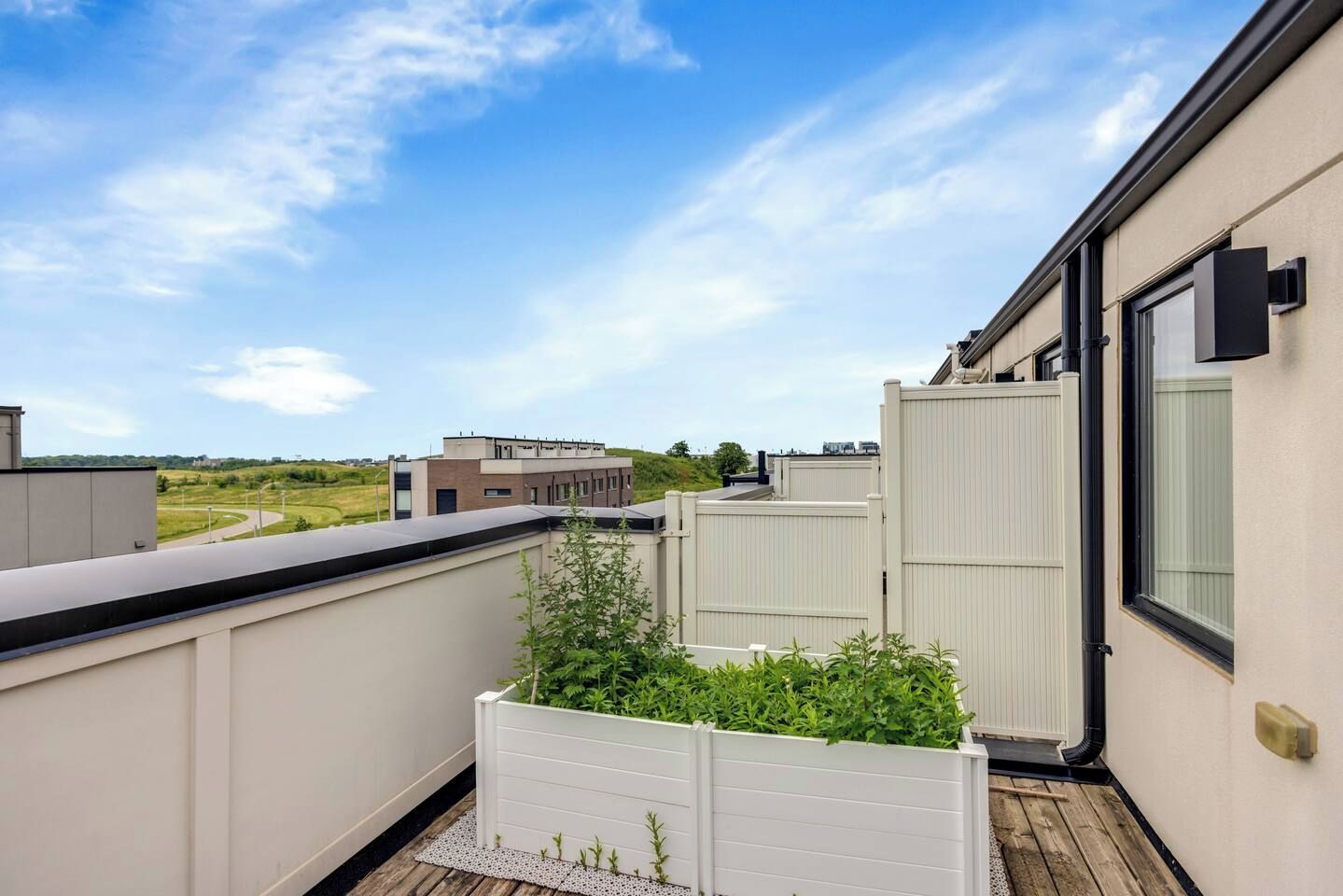 Eine Dachterrasse mit Blick auf ein weit entferntes Gebäude, ein weißer Pflanzkasten mit Grünpflanzen und ein klarer Himmel.