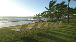 A grassy area with rows of metal sun loungers facing the ocean. - 2BR Suite at WorldMark Kapaa Shore on Kauai's Beautiful Coconut Coast (Kapaʻa)