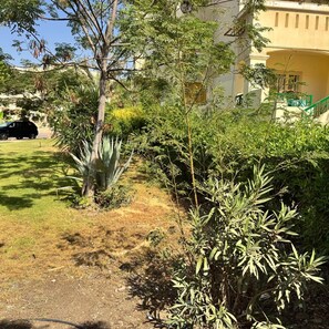 A garden with various plants and a building in the background. - 2-bedroom apartment in marvelous Giza with AC for relaxing stays (Giza)